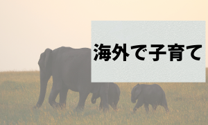 海外子育て